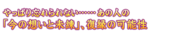 ςYȂcc̐ĺȗzƖvẢ\