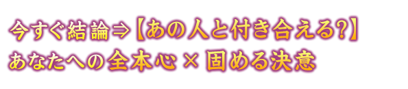 _ˁy̐lƕtHzȂւ̑S{S~ł߂錈