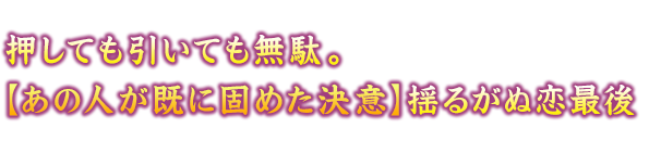 ĂĂʁBy̐lɌł߂Ӂzh邪ʗŌ